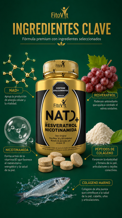 NAD RESVERATROL +NICOTINAMIDA X60UND